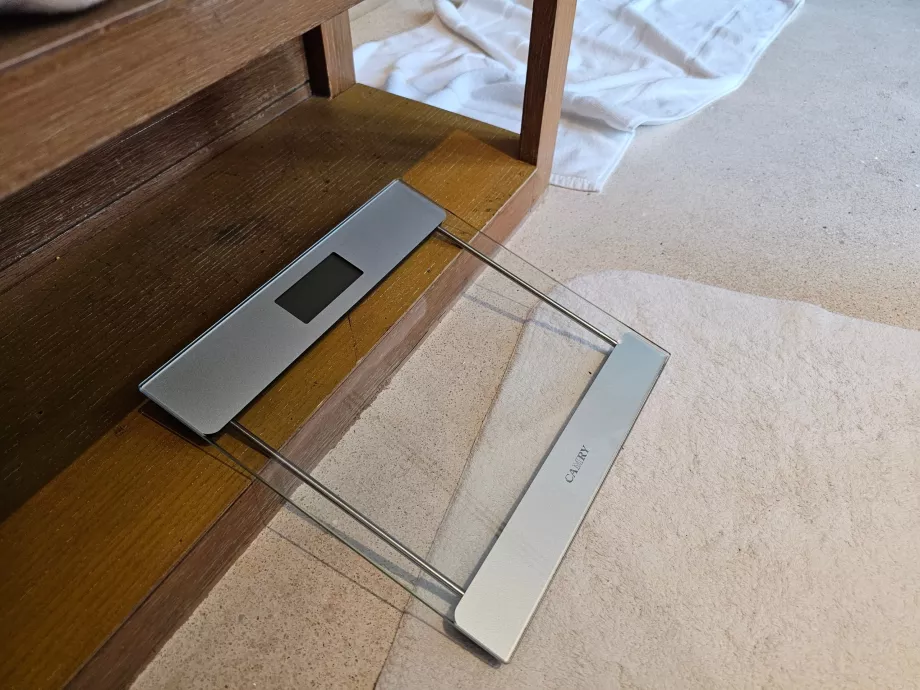 Vannitoas olevasse skaalasse ronimine