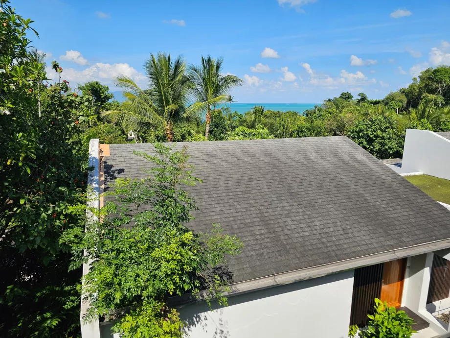 Toast avaneb vaade merele