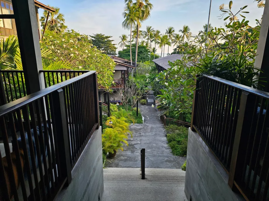 Homm Chura Samui nagu näha vastuvõtust vaadatuna