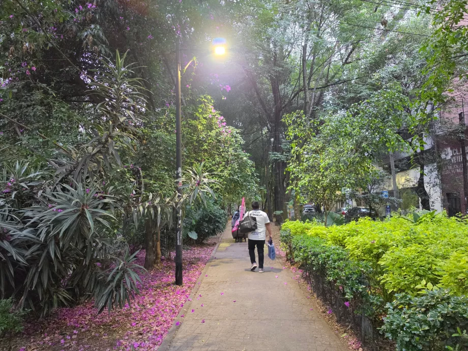 Condesa kvartal