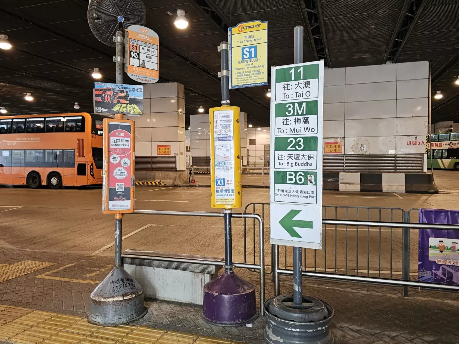 Bussipeatus S1, Tung Chung