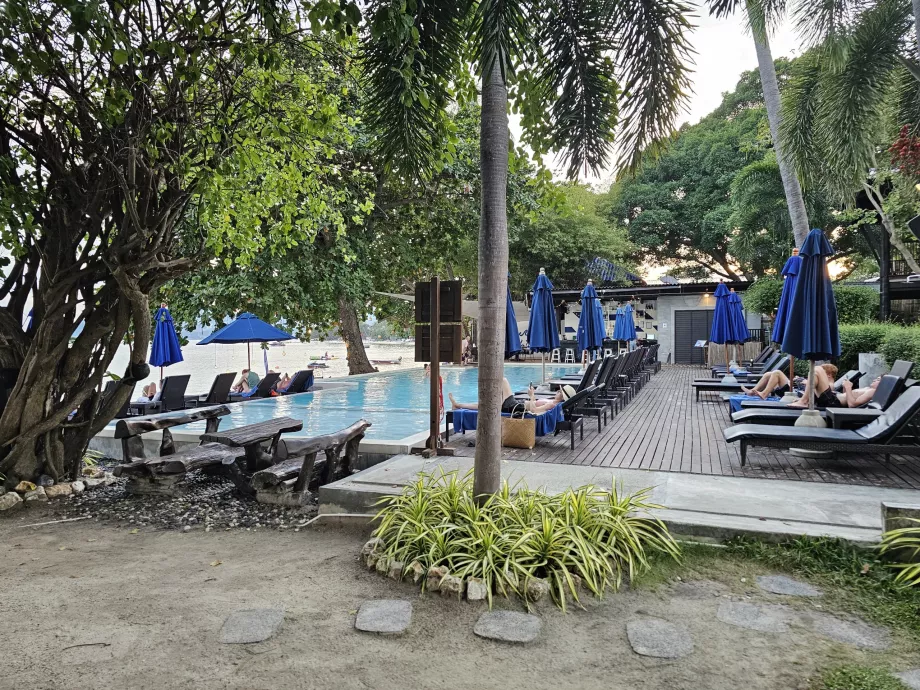 Bassein koos lamamistoolidega