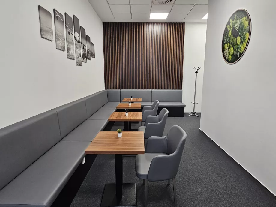 Vaikne osa salongist