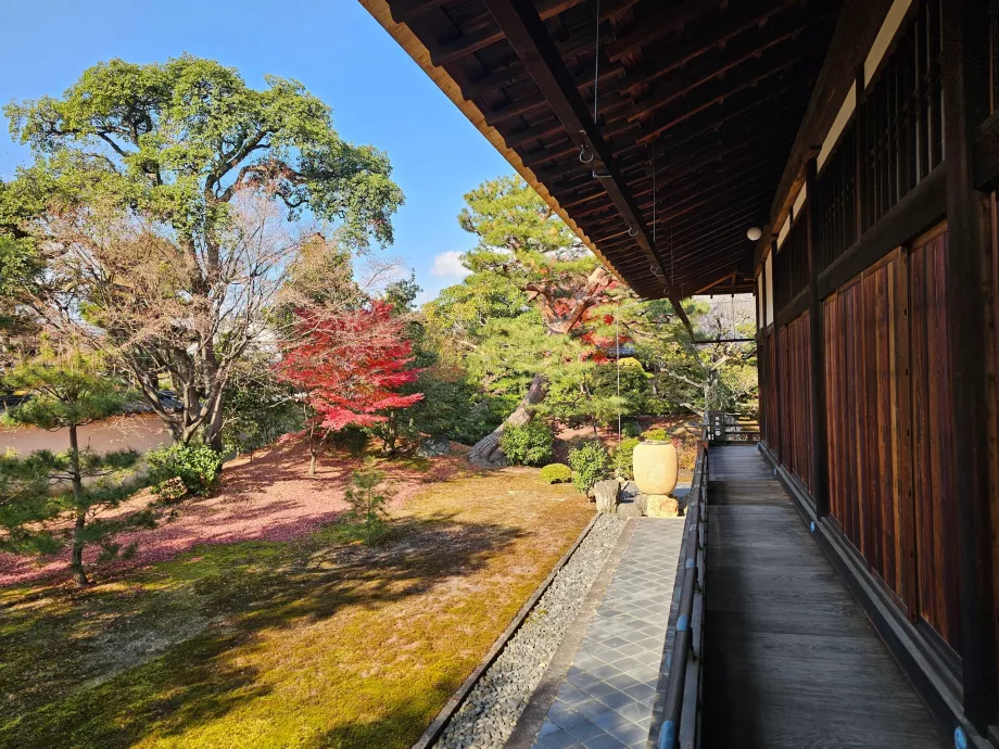 Shokoku-ji tempel