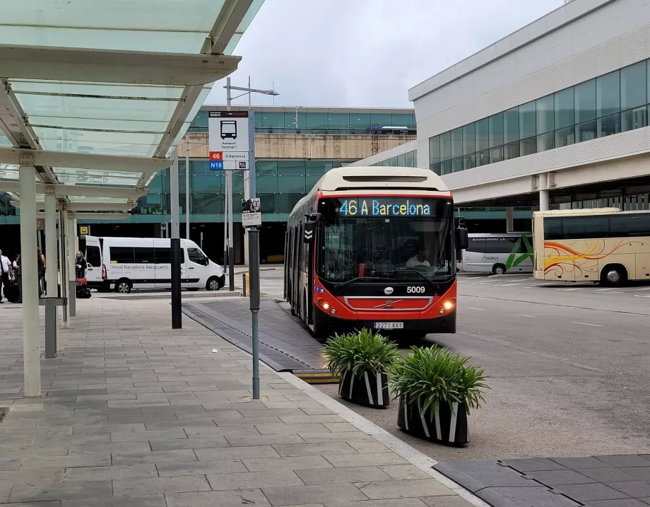 Bussipeatus 46 terminal 1 juures