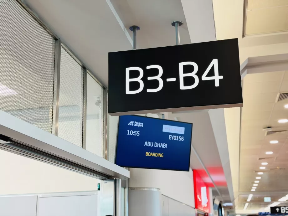 Lennu EY156 pardalemineku värav