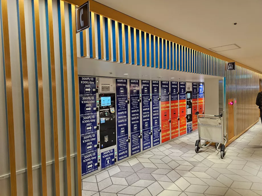 Kapid pagasi hoiustamiseks