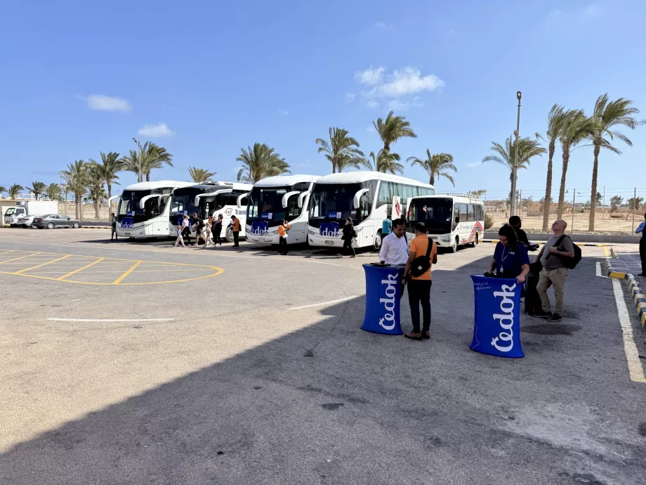 Bussid lennujaamast hotellidesse