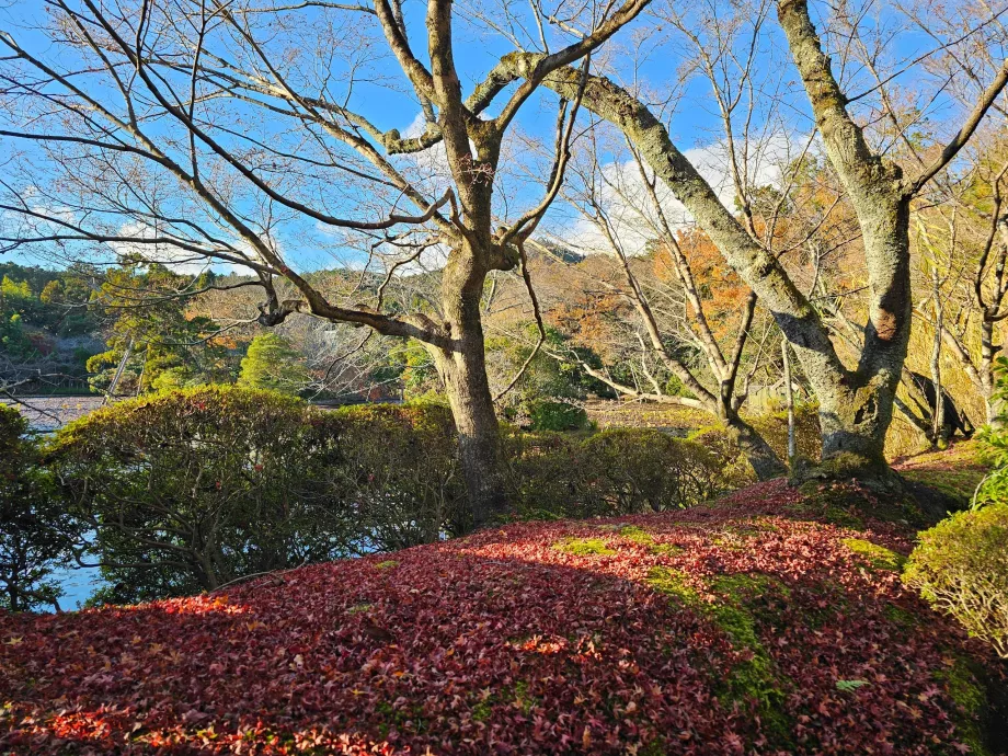Ryoan-ji tempel