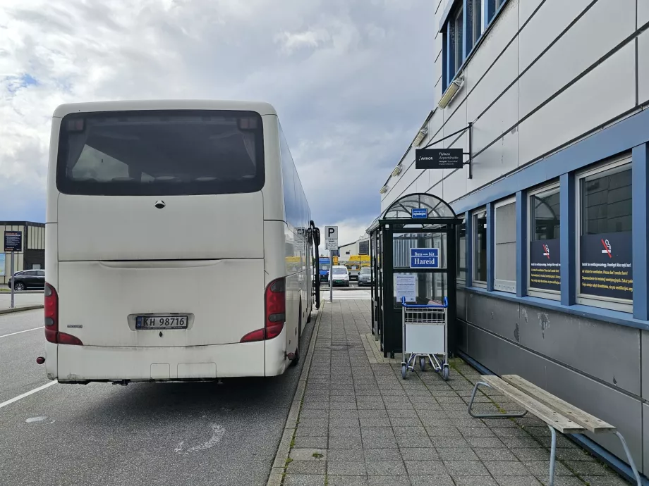 Buss Turvogna