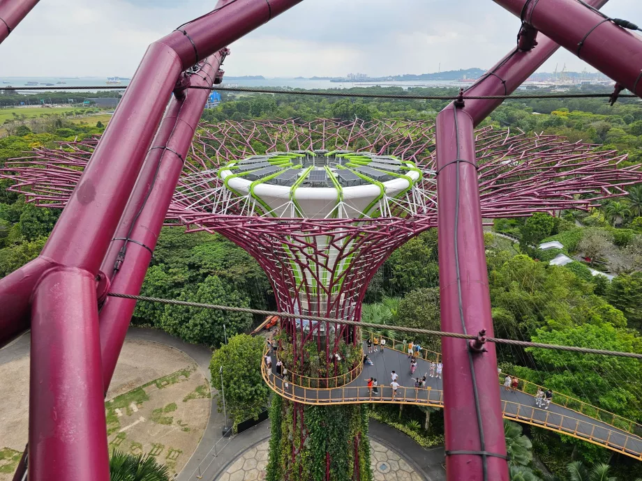 Supertree vaateplatvorm