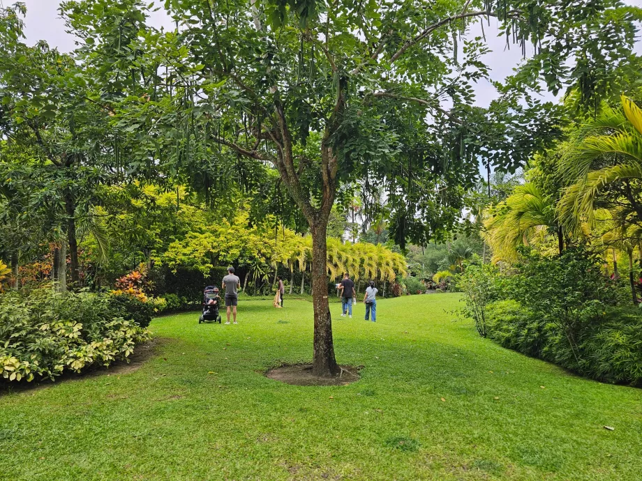 Gardens by the Bay