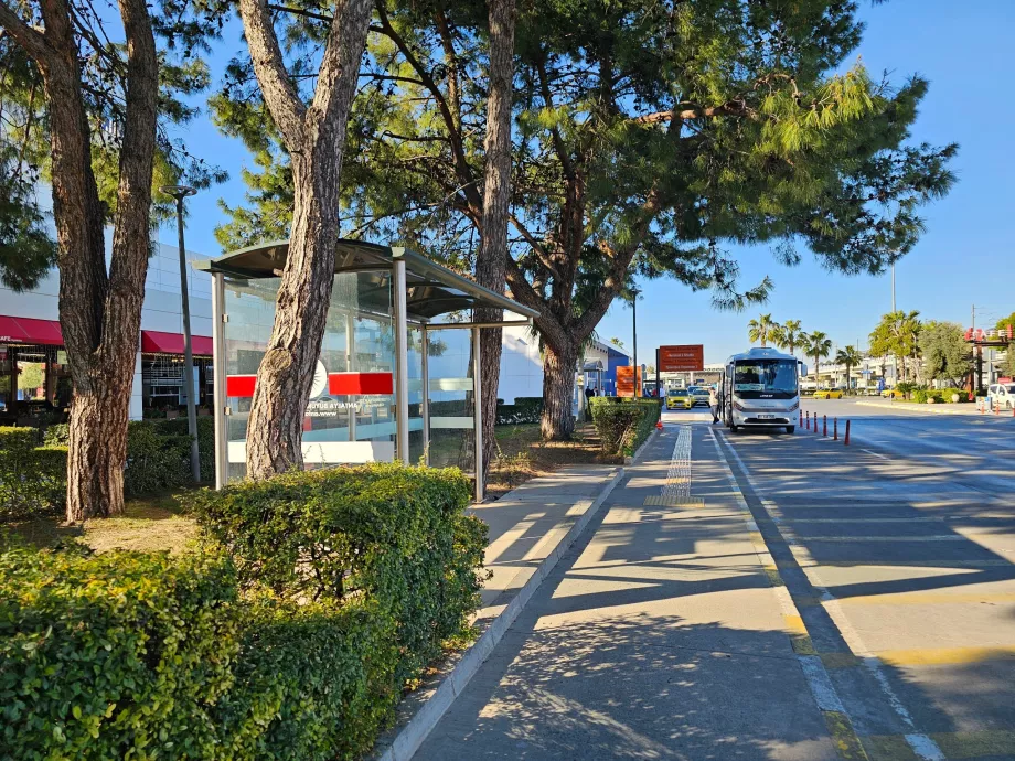 Linna bussipeatus terminali 1 ees