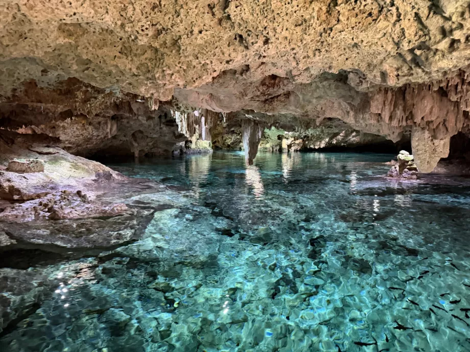 Aktun Chen Cenote