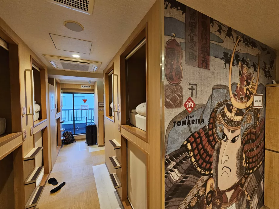 Ühine ala ja ülalpool asuv kapsel