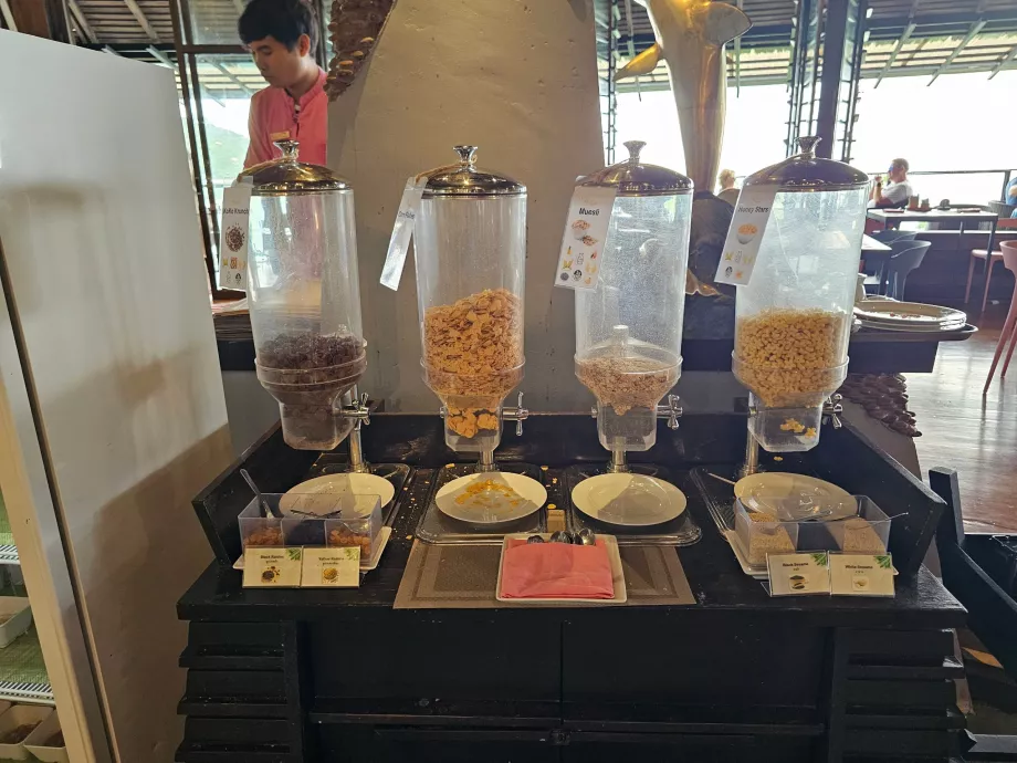 Hommikusöök: teravilja