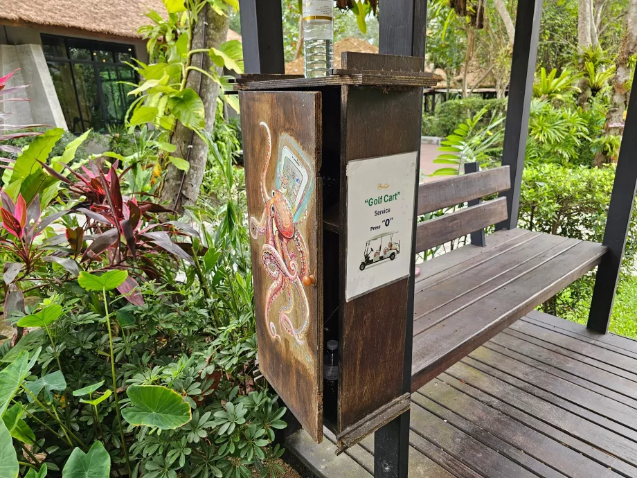 Telefon, et kutsuda golfikäru