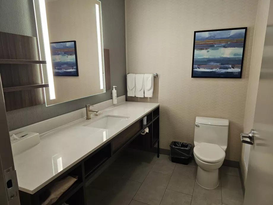 Hilton Garden Inn, vannituba