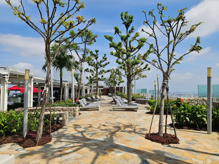 Päikesevoodid MBS hotelli katuseterrassil