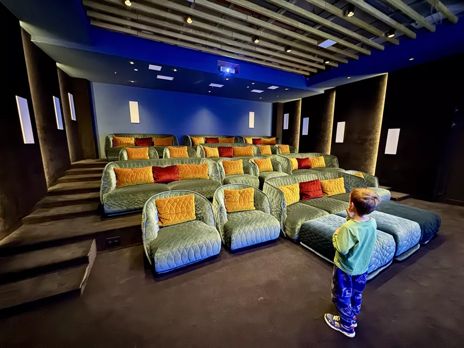 Swissotel Damian Jasna kino
