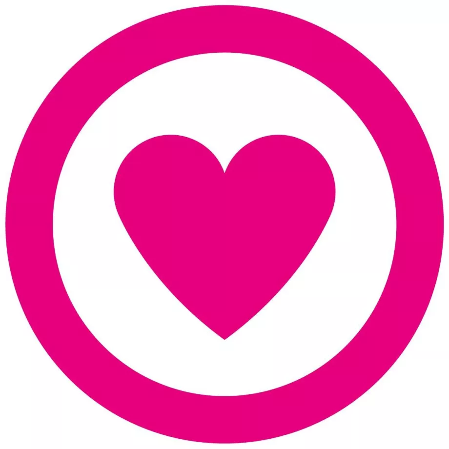 FlySafair Logo