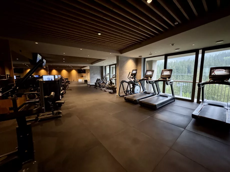 Swissotel Damian Jasna spordikeskus