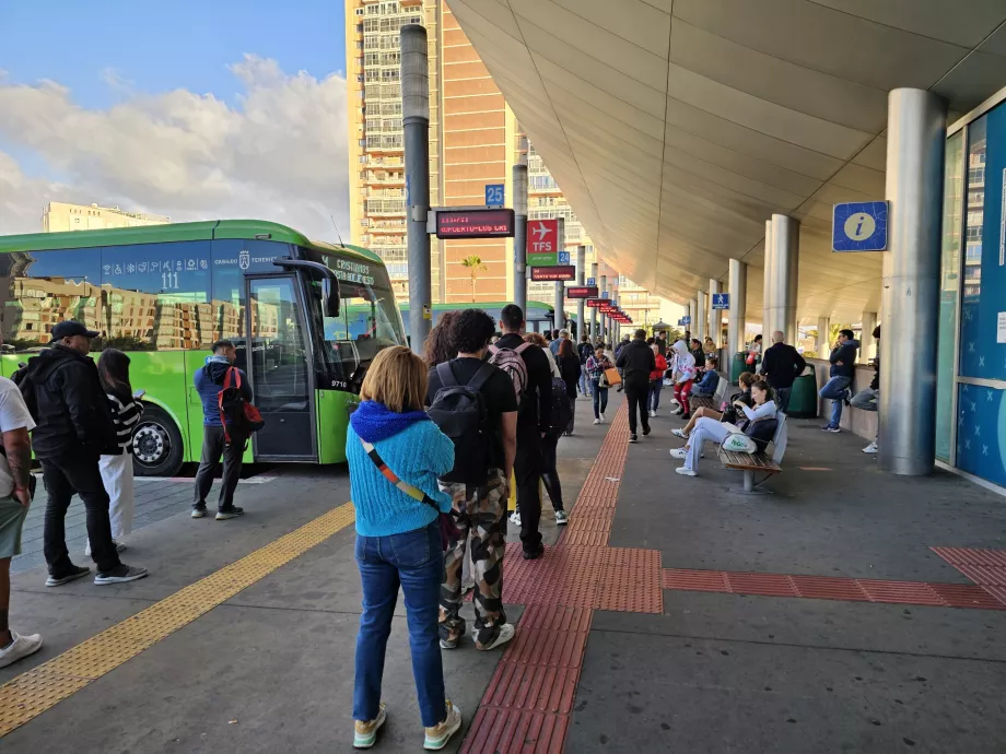 Busside järjekord TFS lennujaama