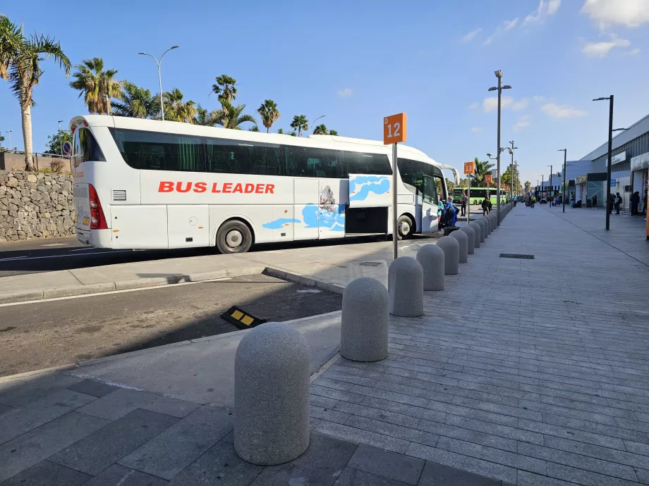 Turismibussid