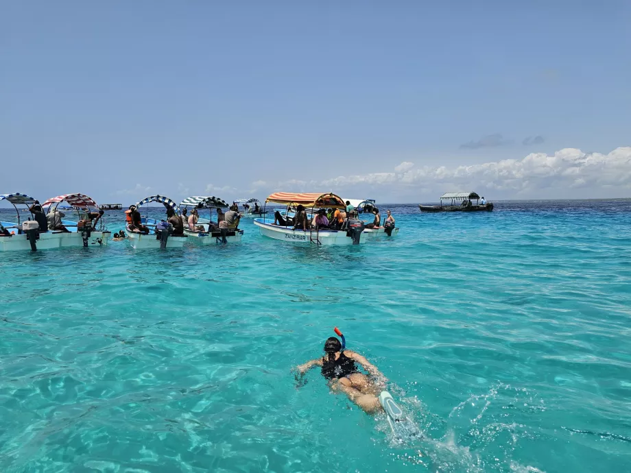 Snorkeldamine Mnemba atolli lähedal