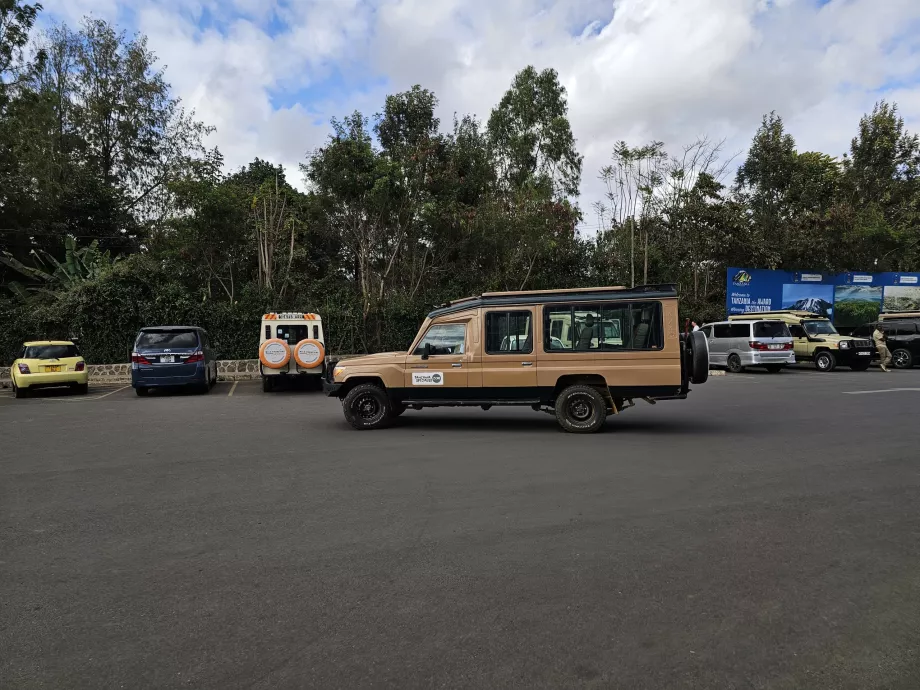 Transfeer safari
