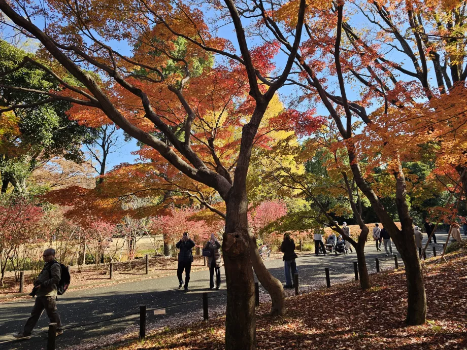 Kitanomaru park