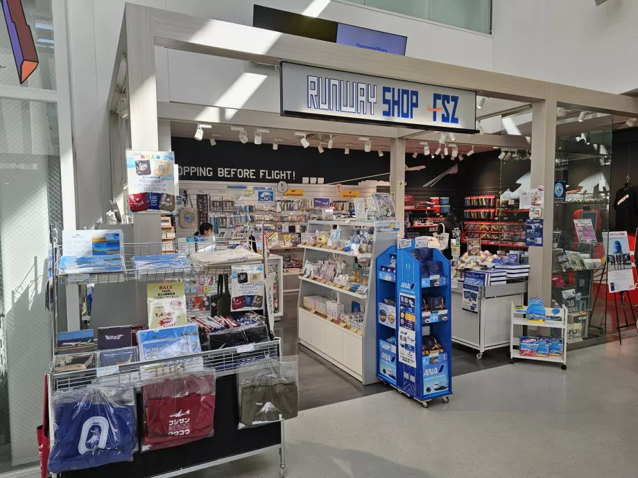 Kauplus lennundusentusiastidele ja lastele