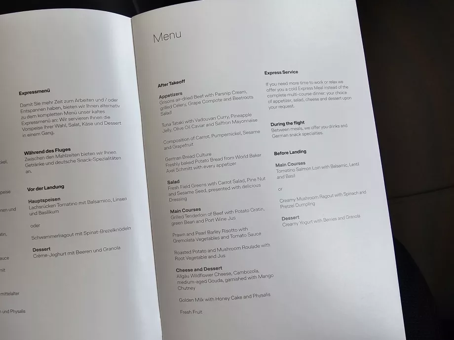 Menüü igapäevasel lennul