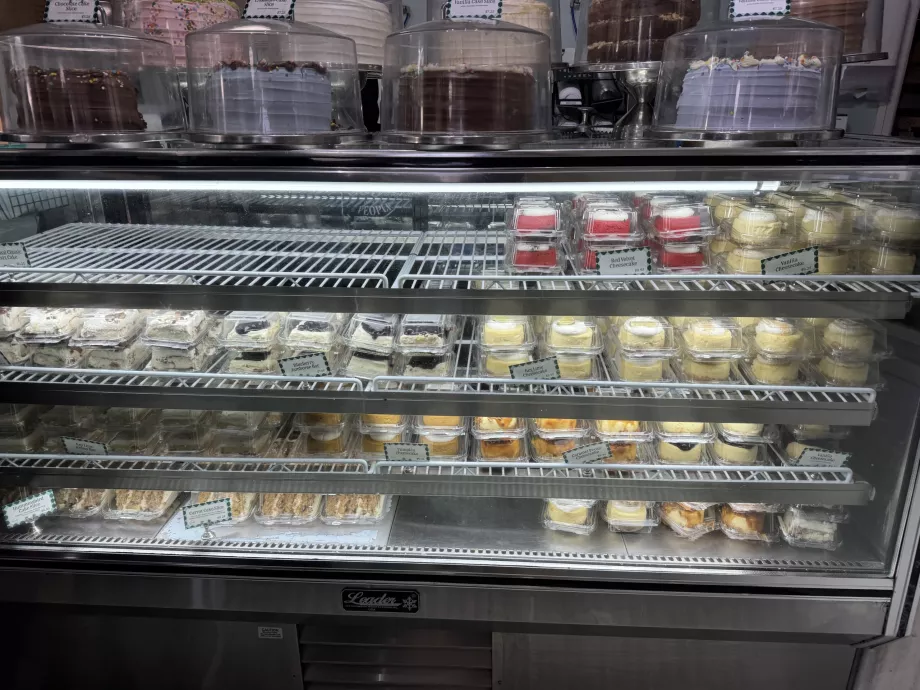 Magnoolia pagariäri