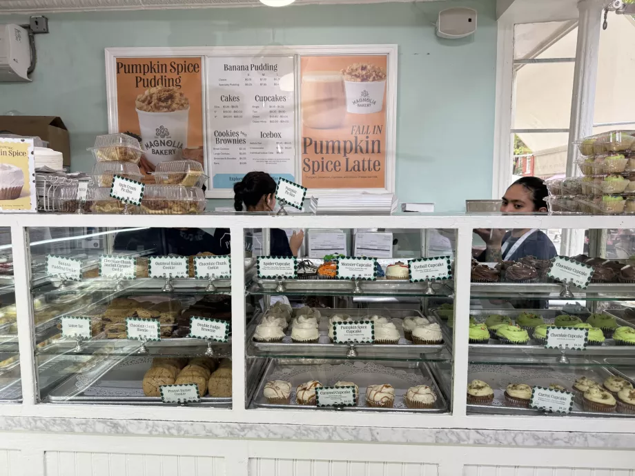 Magnoolia pagariäri