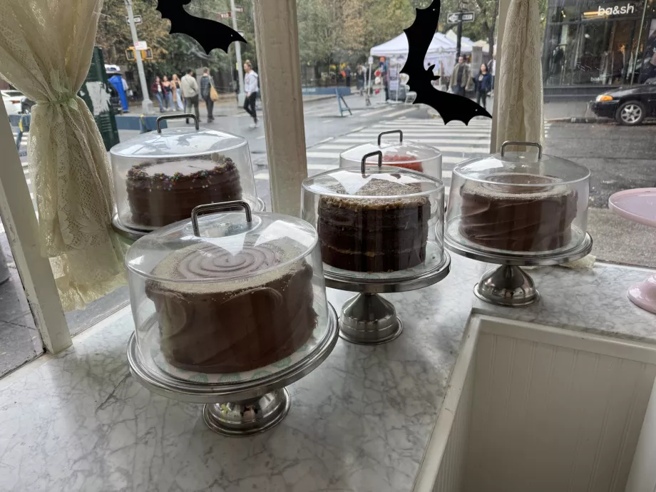 Magnoolia pagariäri