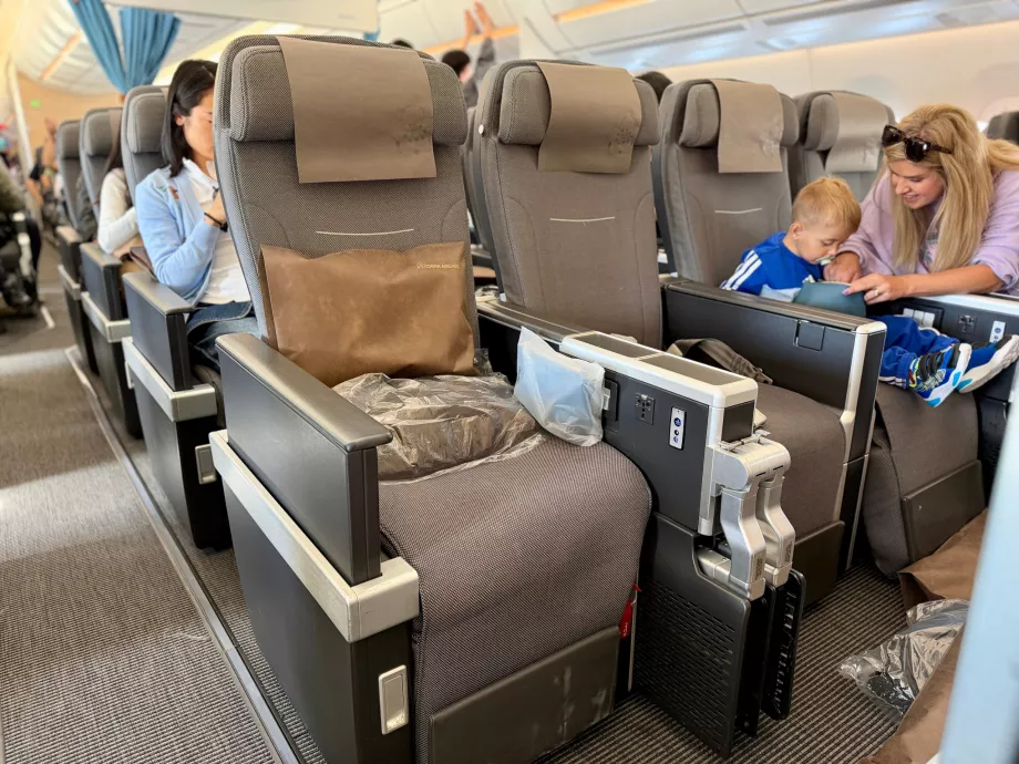 Istekohad Premium Economy's