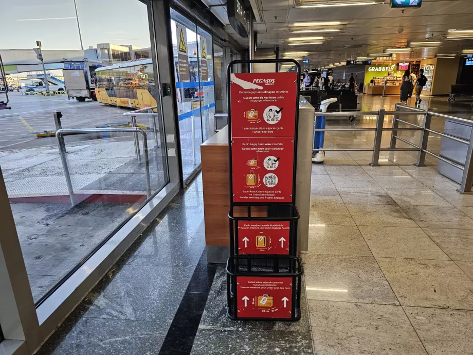 Käsipagasi näidis