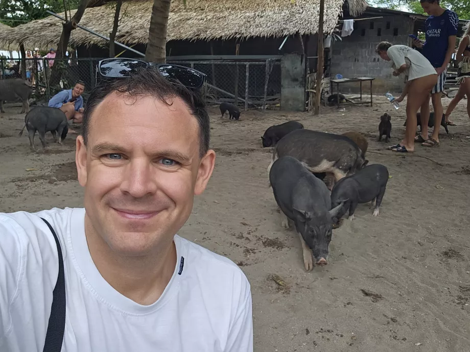 Mina Pig Islandil