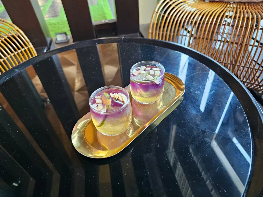 Tervitusjook sisseregistreerimisel